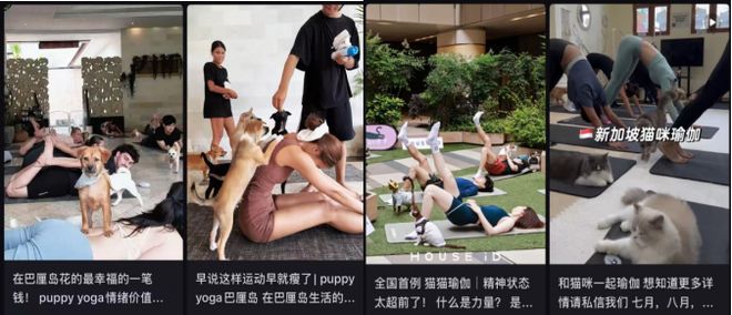Bsports必一比人还自律？宠物“霸占”瑜伽馆、泅水池连专属健身房都有！(图2)